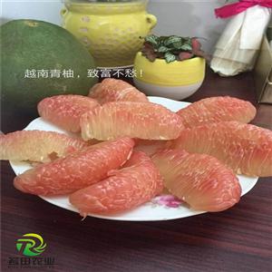 越南青柚苗多少钱一棵，新品种越南青柚这些优点都要懂